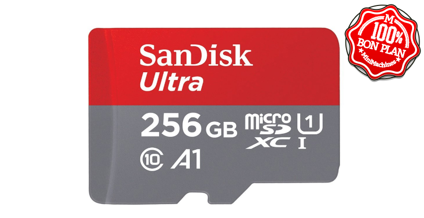 Carte MicroSDXC SanDisk Ultra 256Go