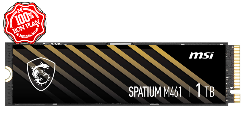 SSD NVMe MSI Spatium M461 1 To M.2 2280