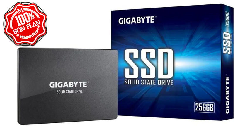 SSD 2.5 pouces Gigabyte 256 Go SATA III