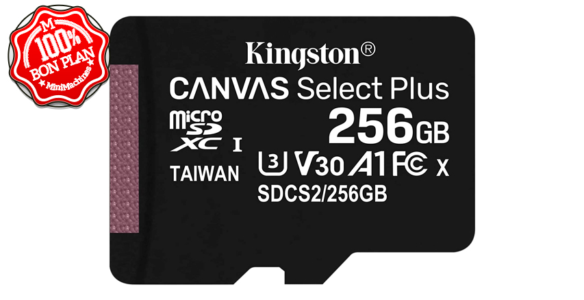 Carte MicroSDXC Kingston Canvas Select Plus 256 Go
