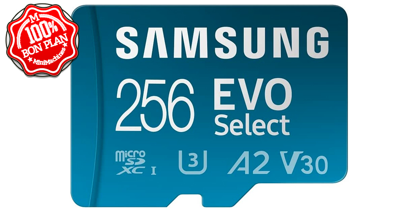 Carte MicroSDXC Samsung EVO Select 256Go